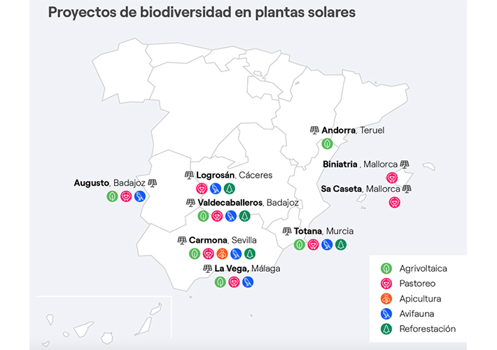 Foto ASÍ PROTEGEMOS LA BIODIVERSIDAD EN LAS PLANTAS RENOVABLES